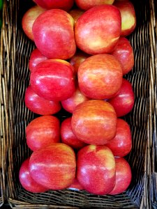 Apples (Braeburn) - Cambridge, MA photo