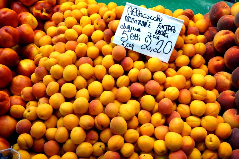 Apricots - Mercato Orientale - Genoa, Italy - DSC02476