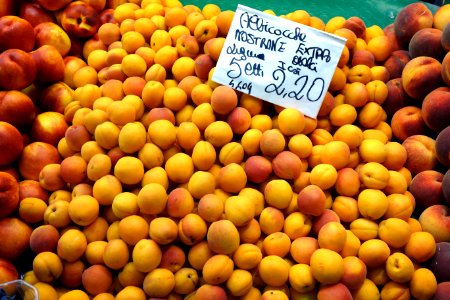 Apricots - Mercato Orientale - Genoa, Italy - DSC02476 photo