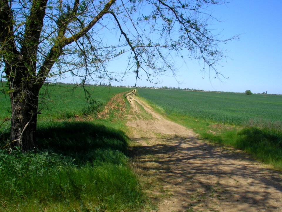 Aprelevka (Crimea) 3
