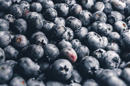 Blueberries close-up confection photo