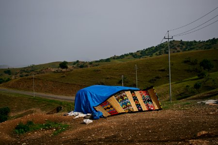 Arab bedouin camp in Erbil, outside Baharka 22
