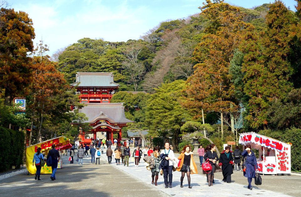 Approach - Tsurugaoka Hachiman-gū - Kamakura, Kanagawa, Japan - DSC08308