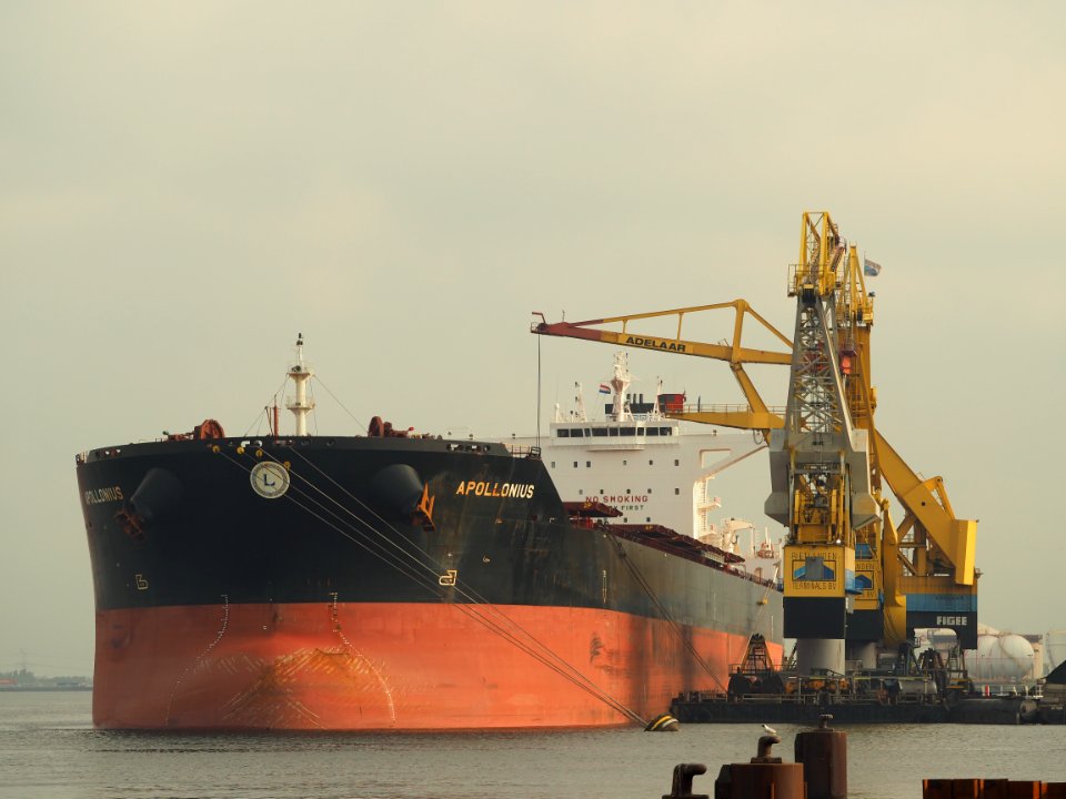 Apollonius (ship, 2016) IMO 9718234, Amerikahaven, Port of Amsterdam
