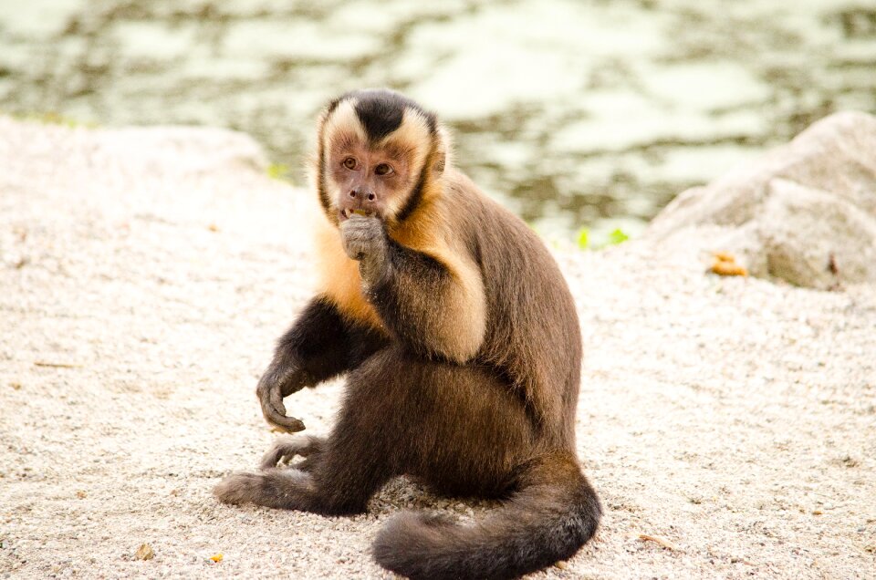 Zoo tiergarten funny