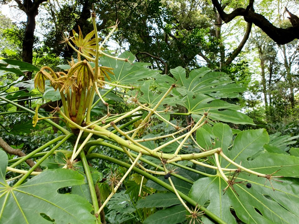 April plants at Institute for Nature Study 20