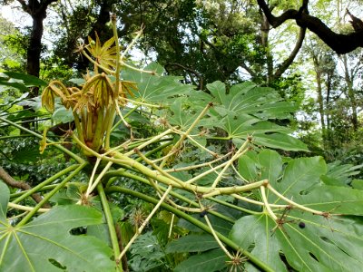 April plants at Institute for Nature Study 20
