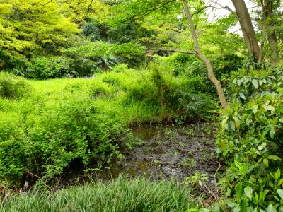 April plants at Institute for Nature Study 7