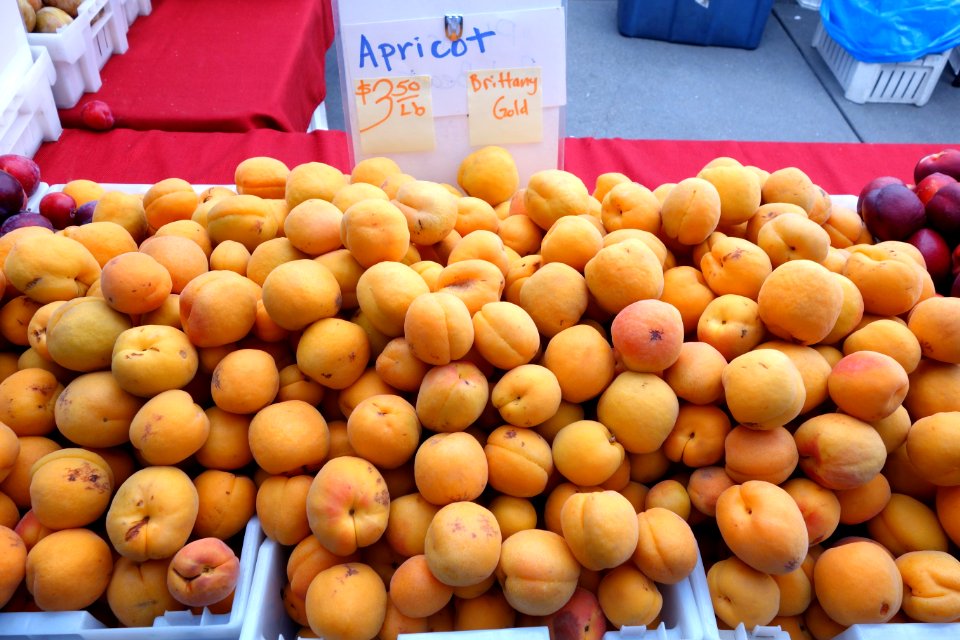 Apricots 1 - Farmer's Market at the Ferry Building - San Francisco, CA - DSC03600