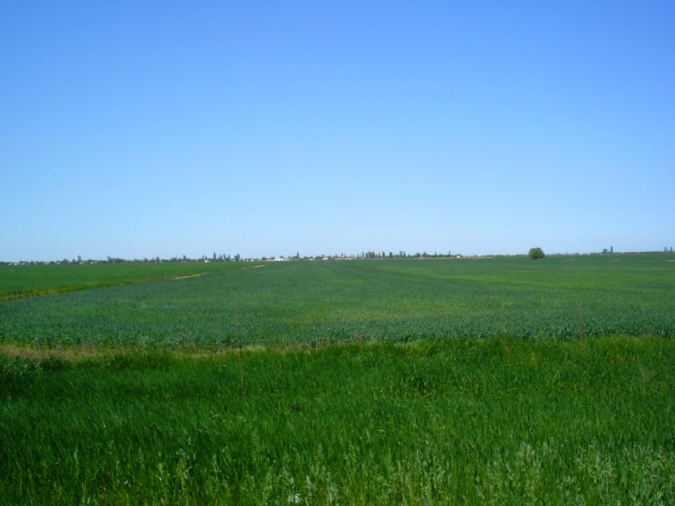 Aprelevka (Crimea) 2