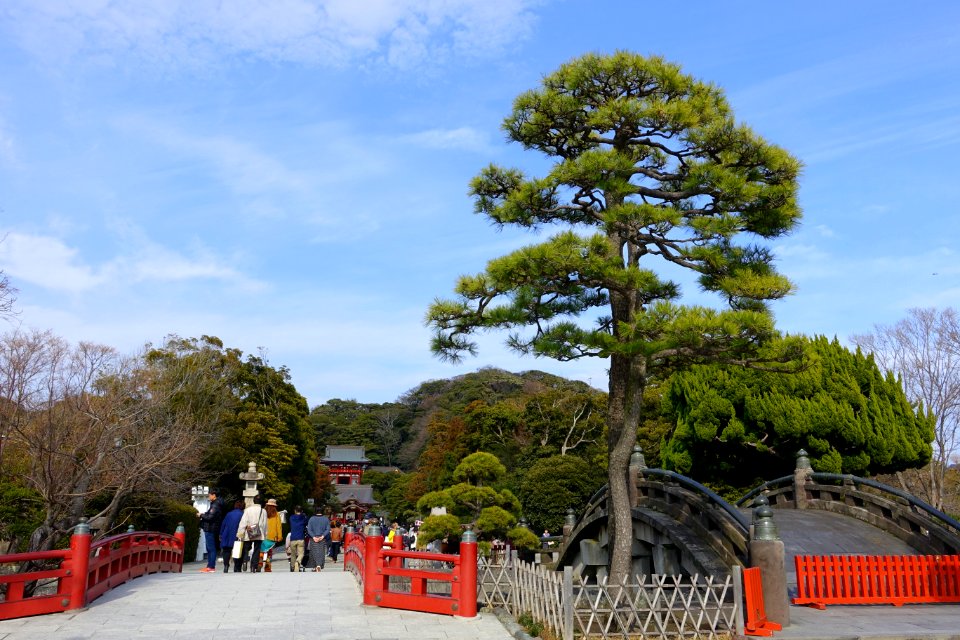 Approach - Tsurugaoka Hachiman-gū - Kamakura, Kanagawa, Japan - DSC08300