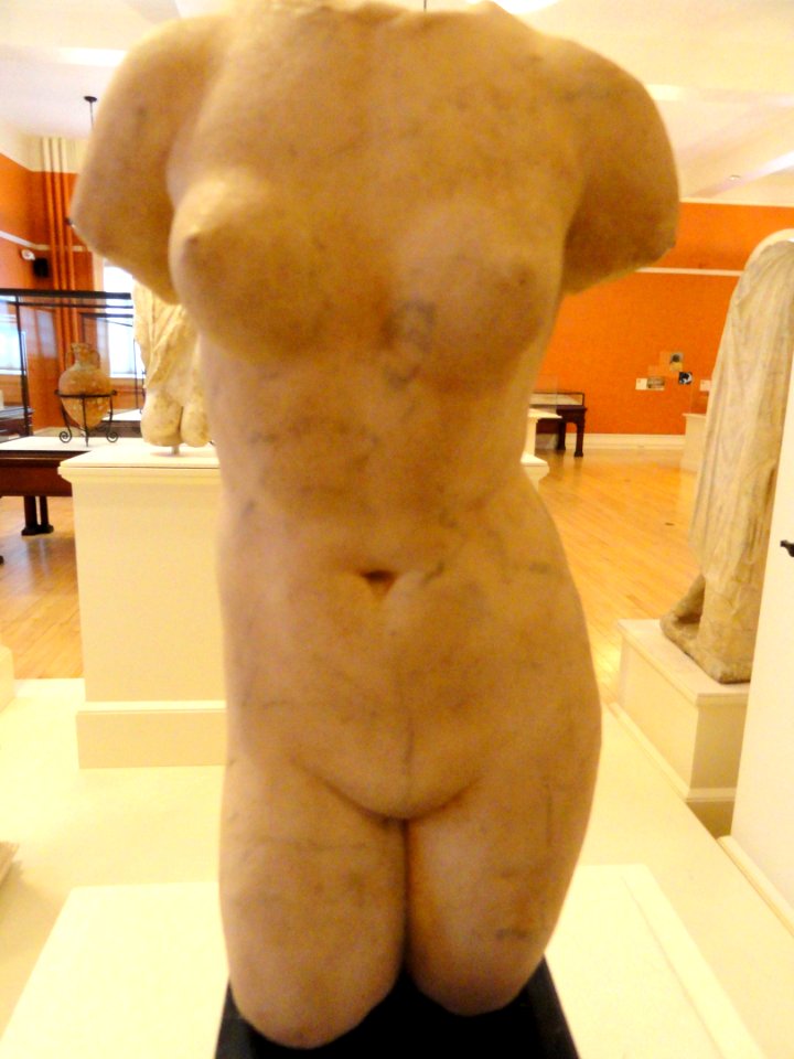 Aphrodite torso, Roman, 2nd-3rd century AD, marble - George Walter Vincent Smith Art Museum - DSC03689