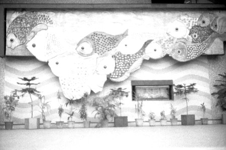 Aquarium at Kankaria