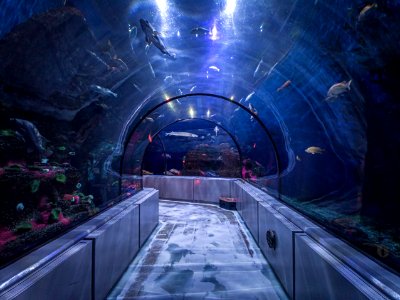 Aquarium de Quebec