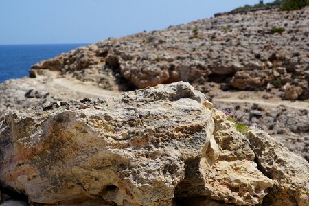Sea nature ibiza