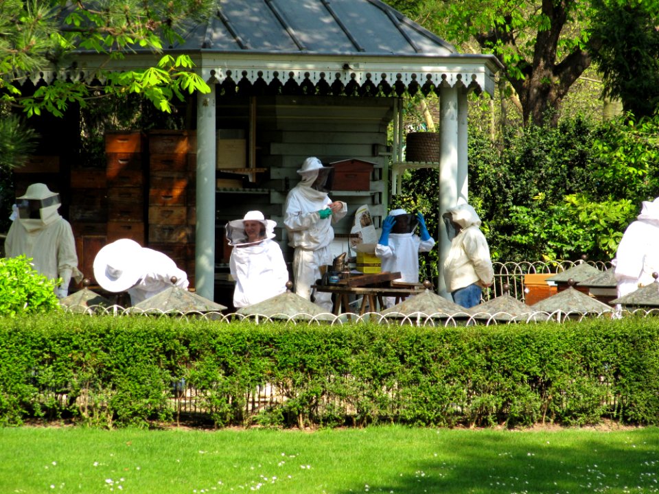 Apiculteurs des ruches du Jardin du Luxembourg