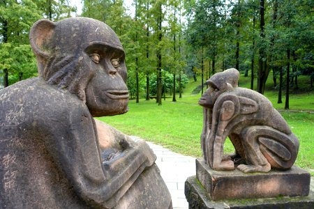 Apes - Tazishan Park - Chengdu, China - DSC03169