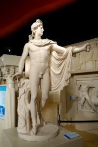 Apollo Belvedere, plaster cast of 1st or 2nd century Roman marble copy in Vatican Museum - Spurlock Museum, UIUC - DSC05668