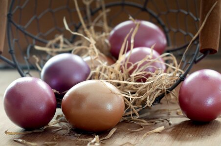 Colored egg easter