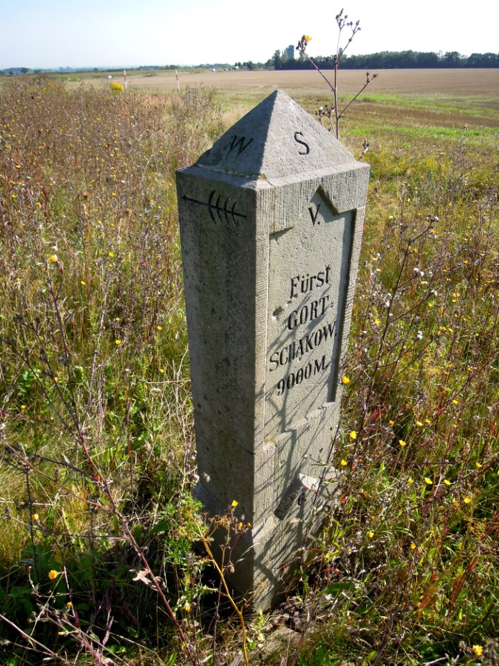 Apelstein Nr. 6 an 1813 erinnernd im August 2017b