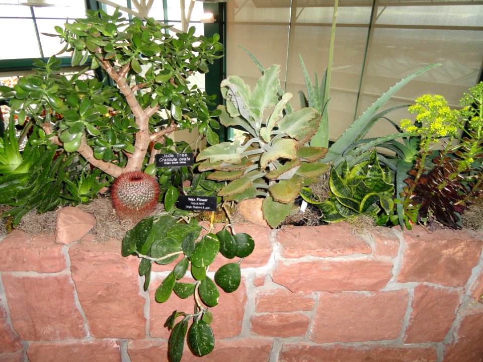 Arrangement - Red Butte Garden and Arboretum - DSC07564