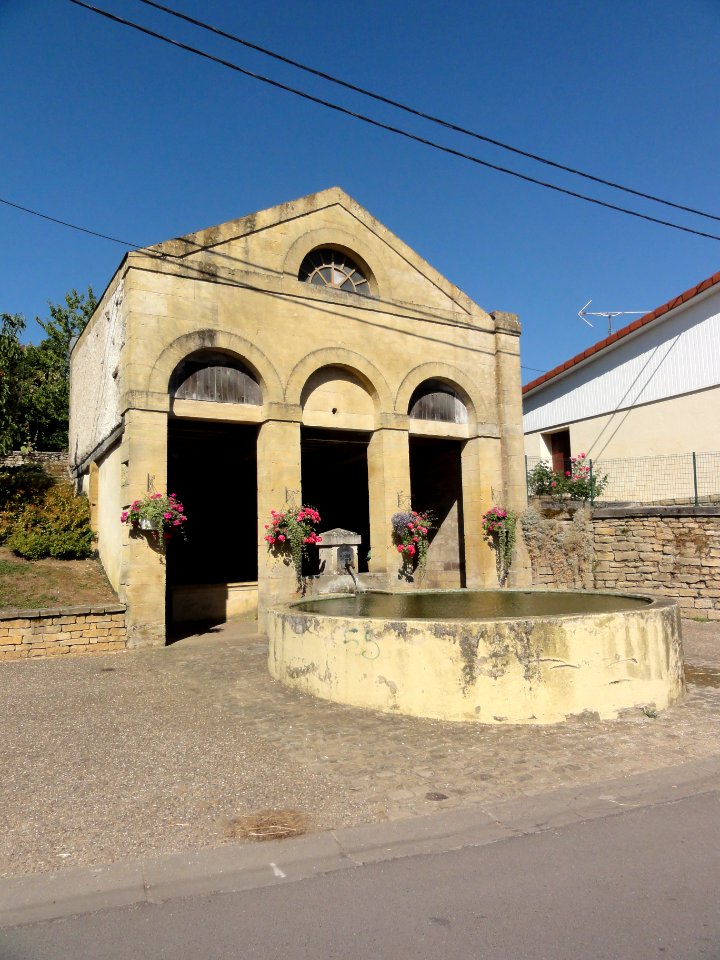 Arrancy-sur-Crusne (Meuse) lavoir (01)