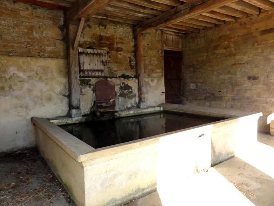 Arrancy-sur-Crusne (Meuse) lavoir (02)