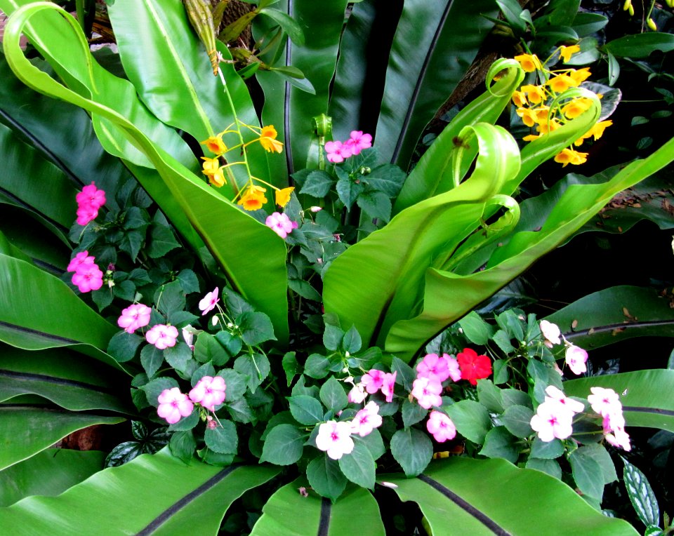 Arrangement floral 01