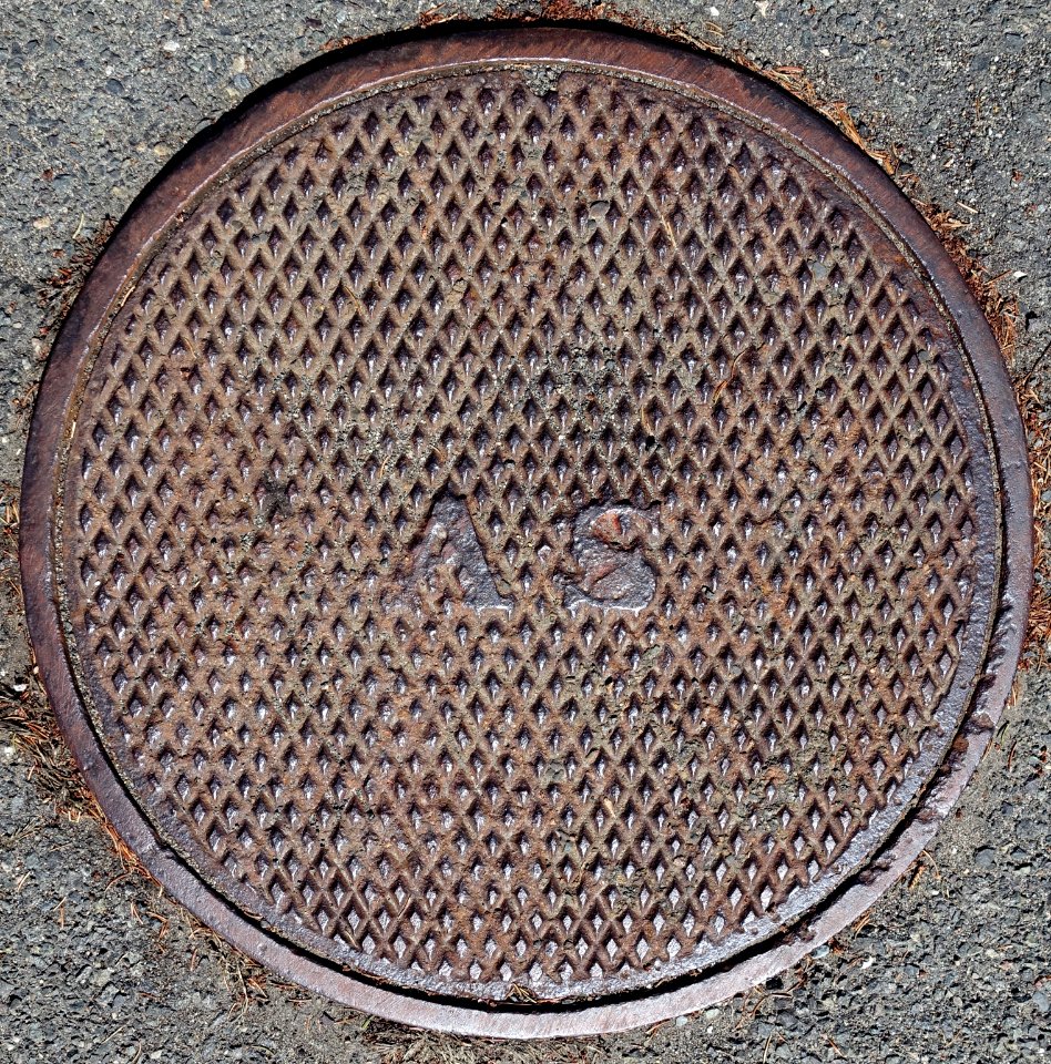 AS - Arlington, MA - DSC09380