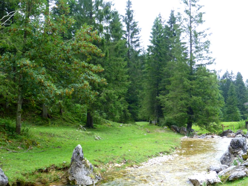 Arzbach6