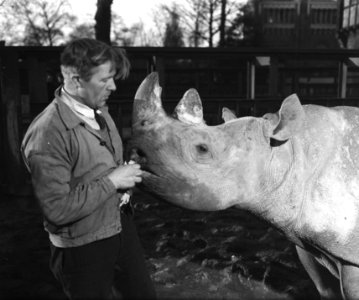 Artis, Bestanddeelnr 901-3658