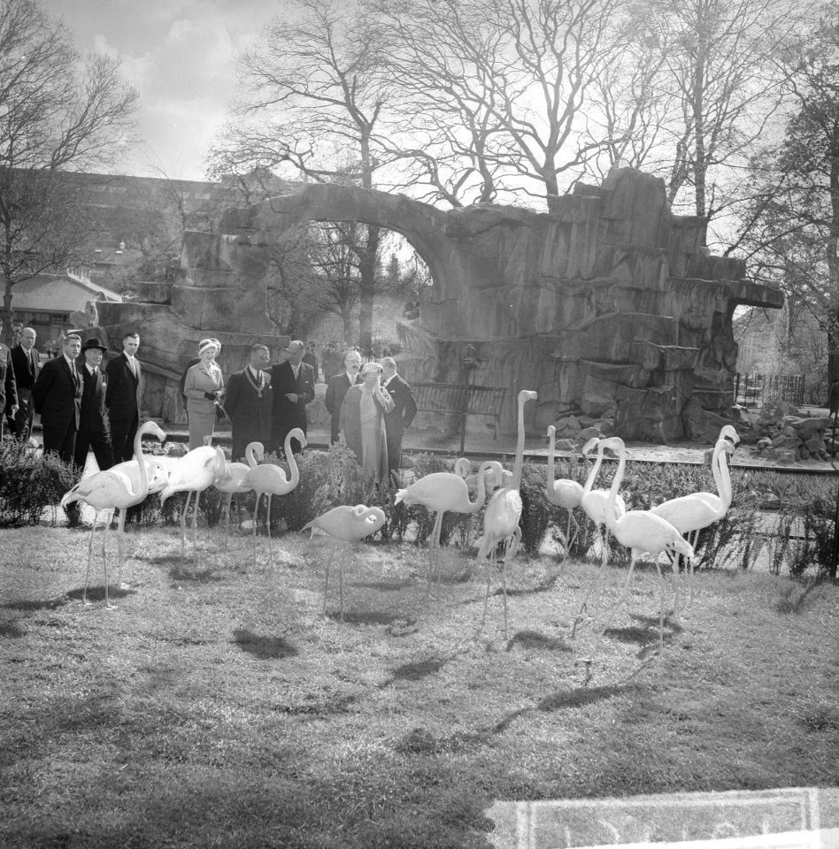Artis 125 jaar dierentuin koningin Juliana bracht een bezoek, hier bij de flami, Bestanddeelnr 915-1161