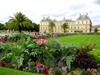 Arrangement floral dans le jardin du Luxembourg photo