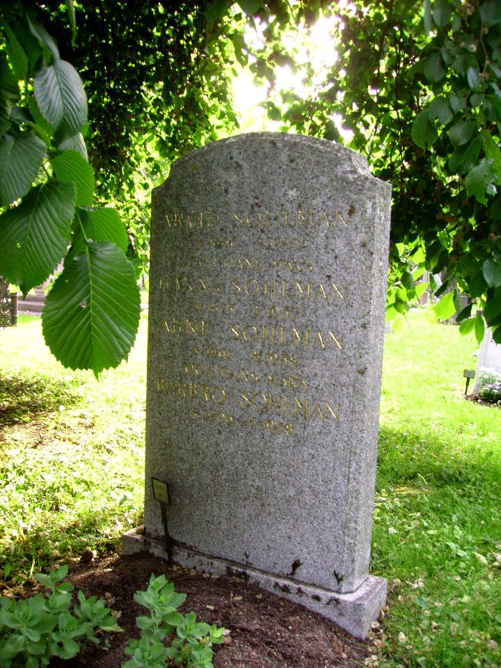 Arvid o Arne Sohlman, Norra
