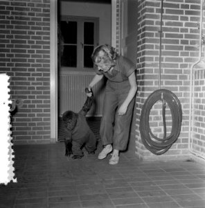 Artis de aapjes aan het ontbijt, Bestanddeelnr 906-1319
