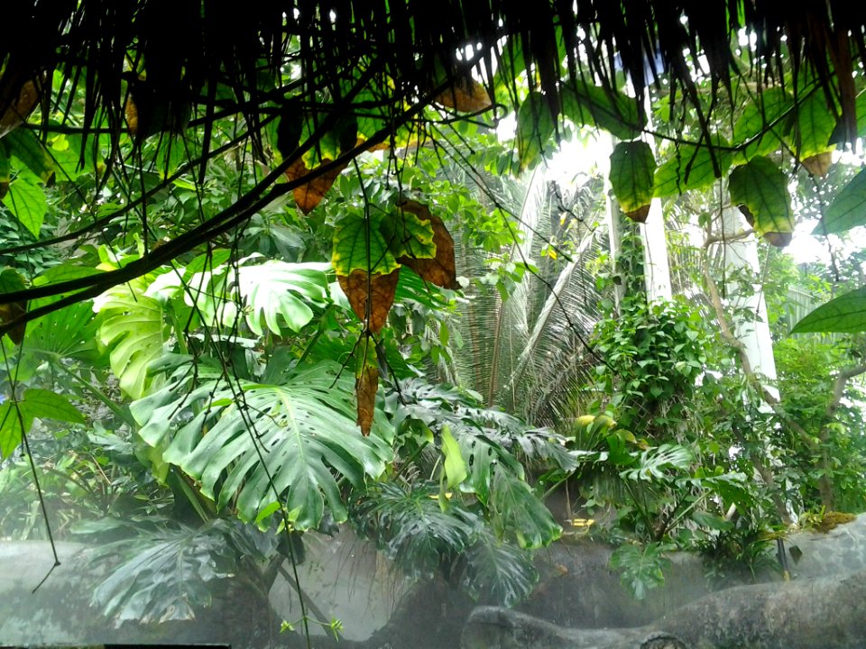 Artificial Jungle
