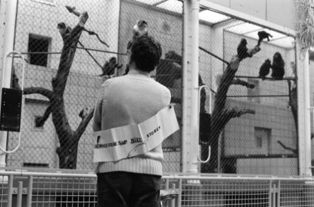 Artis, man die in Artis gedrag van apen bestudeert met tekst op rug, omdat hij vaak gestoord wordt, Bestanddeelnr 931-3880
