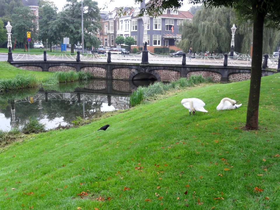 Arnhem Rijksmonument 516945 Brugdelen De La Reystraat, 2