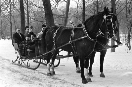 Arreslee door twee paarden getrokken, Bestanddeelnr 924-3328