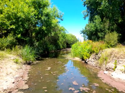 Arroyo de Laguna del Cisne, 10