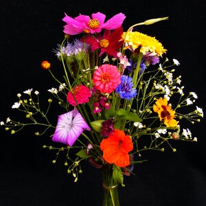 Flower meadow bouquet nasturtium photo