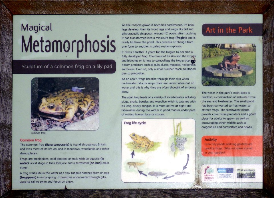 Art in the Park - Metamorphosis information board, Bexhill-on-Sea