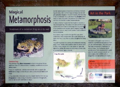 Art in the Park - Metamorphosis information board, Bexhill-on-Sea