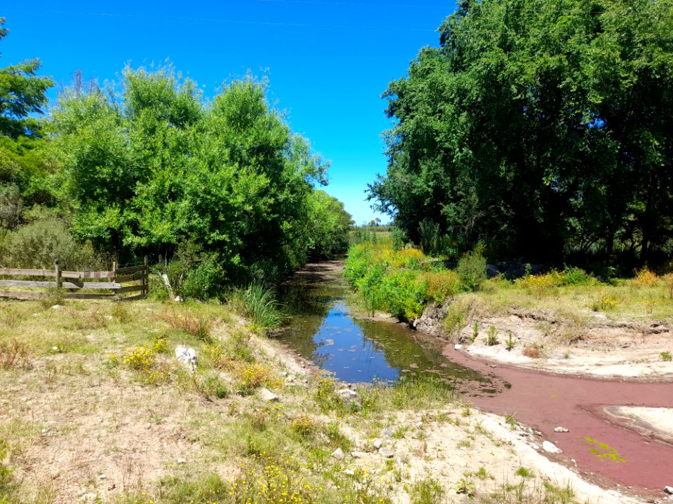 Arroyo de Laguna del Cisne, 8