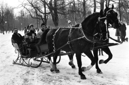 Arreslee door twee paarden getrokken, Bestanddeelnr 924-3327