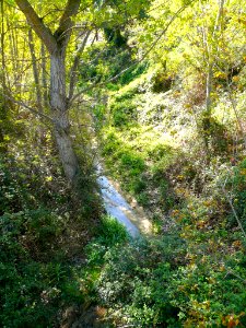 Arroyomolinos - Arroyo del Bosque 02