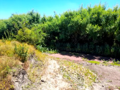 Arroyo de Laguna del Cisne, 2