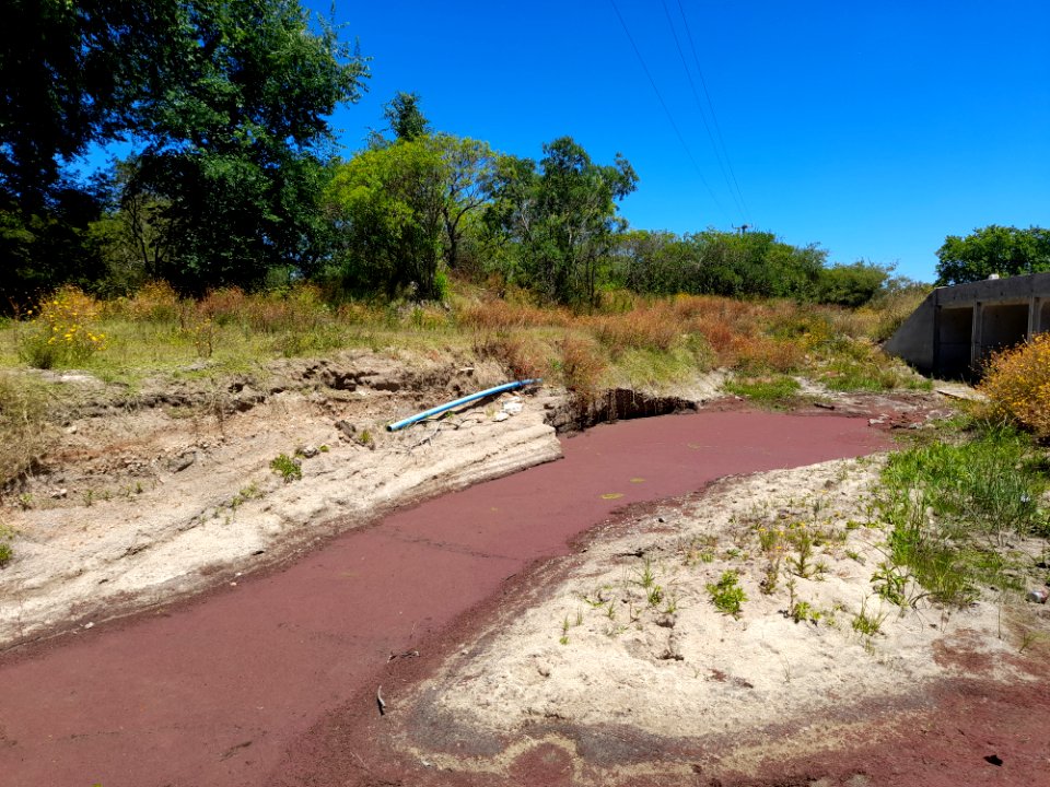 Arroyo de Laguna del Cisne, 14