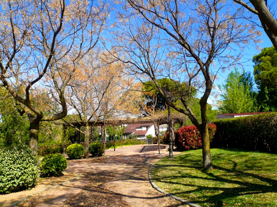 Arroyomolinos - Arroyo del Bosque 03