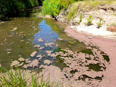 Arroyo de Laguna del Cisne, 12